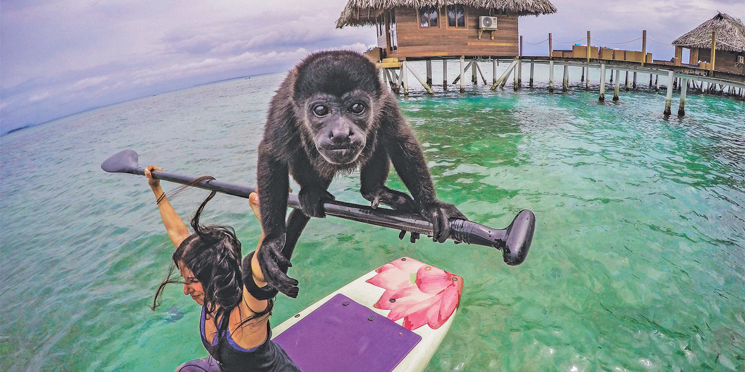 a womanholding her paddle up with a monkey balancing on it