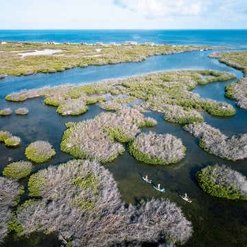 THE SOCIAL FABRIC OF HIKE AND PADDLE