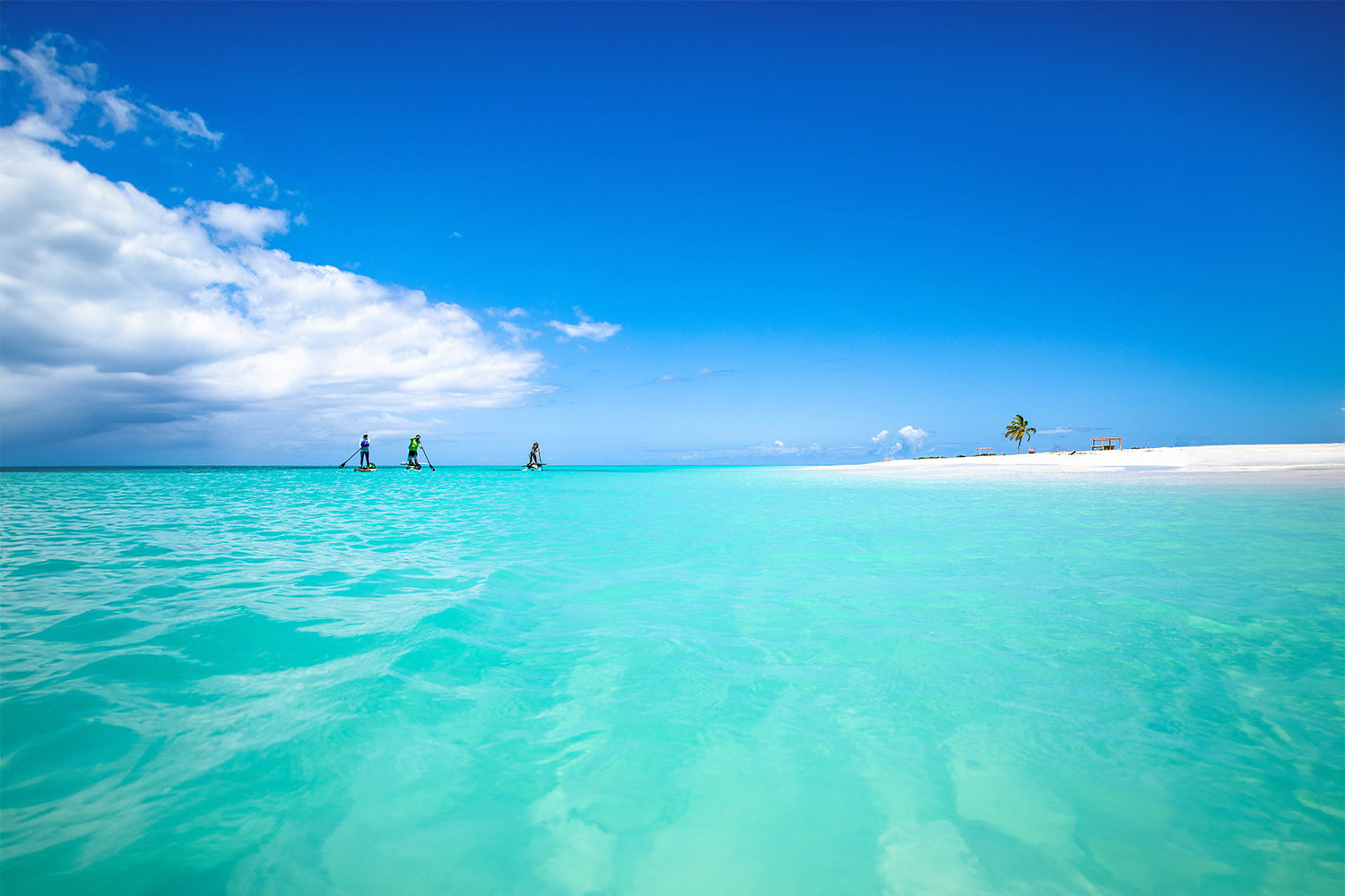 three paddleboarders paddling on the ocean next to white sandy beaches