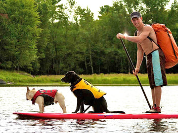 Gear and Tips for Paddle Boarding with Pets: A Waterlovers’s Guide