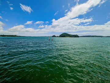 two paddle boarders paddling to an island off new zealands northland