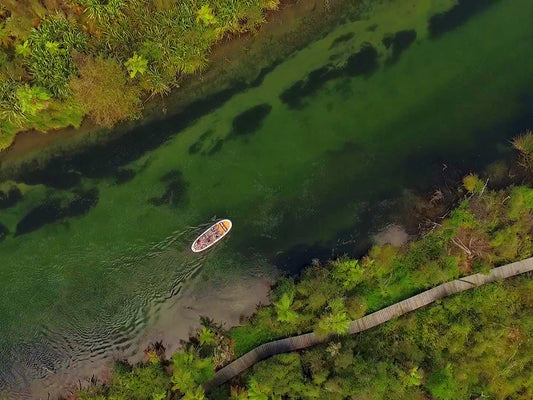 an aerial image of a paddle board on a river with native bush either side and a walk way between the trees