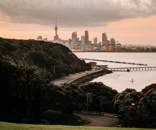 The 6 Best Places to Paddle Board in Auckland: A 2026 Local's Guide