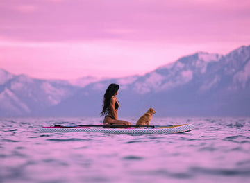 Cheap Paddleboard vs. Pau Hana: Is It Worth the Upgrade?